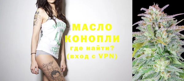 стафф Майский