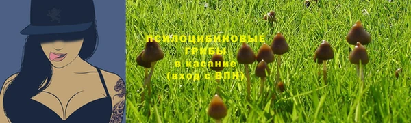 соль курить ск Магадан