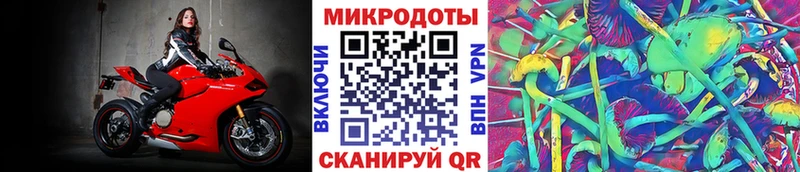 Галлюциногенные грибы мицелий  Купить закладки  Южа 